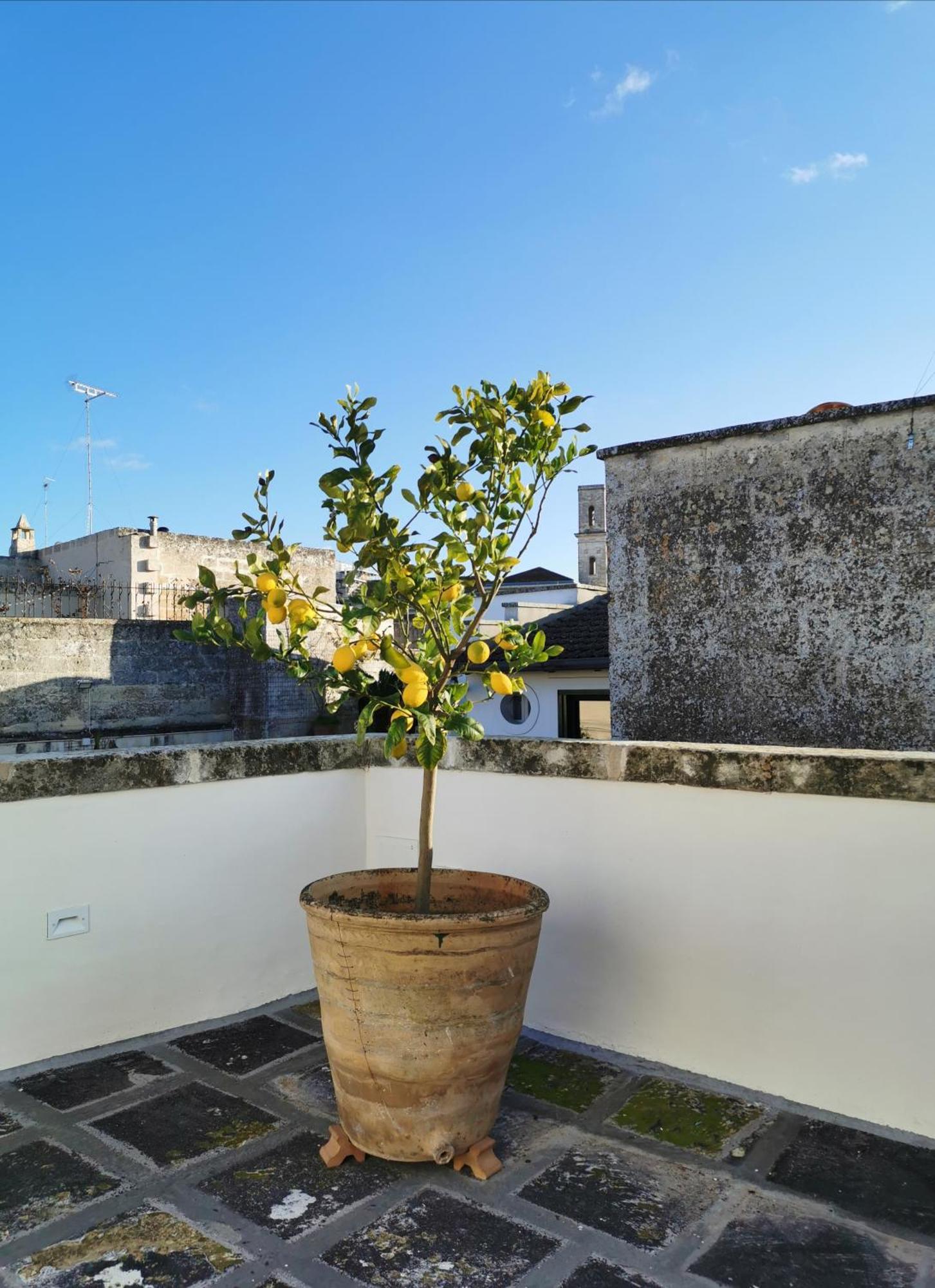 Coniger 4 Casa Vacanze In Centro Lecce Con Wi-Fi E Smart Tv Bagian luar foto